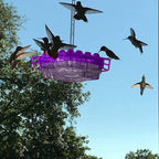 Ant Proof Hummingbird Feeder – Outdoor Hanging Perch for Garden, Summer Party