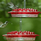 Ant Proof Hummingbird Feeder – Outdoor Hanging Perch for Garden, Summer Party