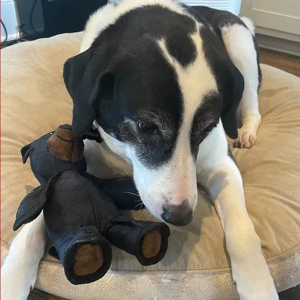 Indestructible Dog Toys for Heavy Chewers – Interactive Play, Durable Fun