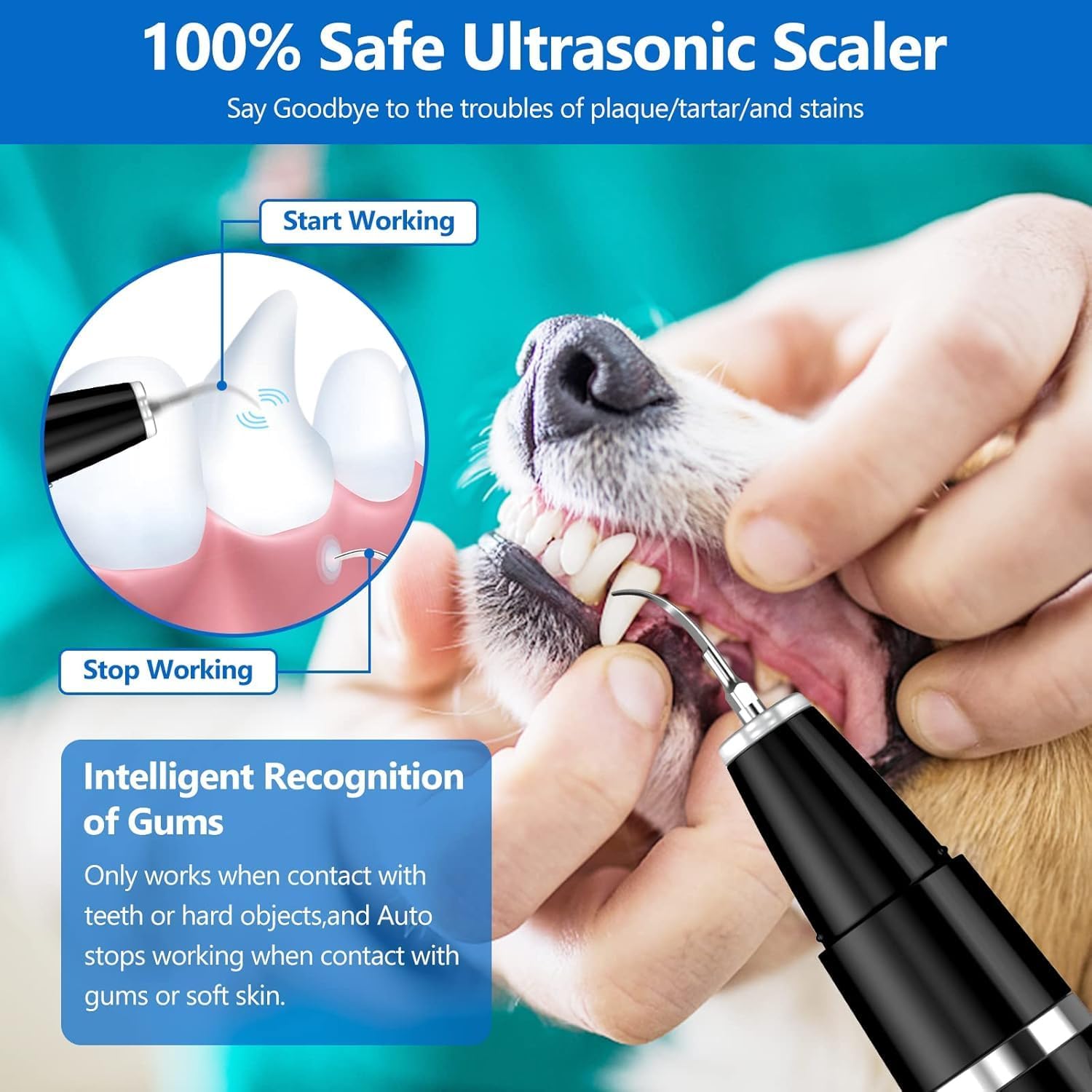 Pet Tartar Remover Ultrasonic Tooth Cleaner – Dental Care, Oral Hygiene