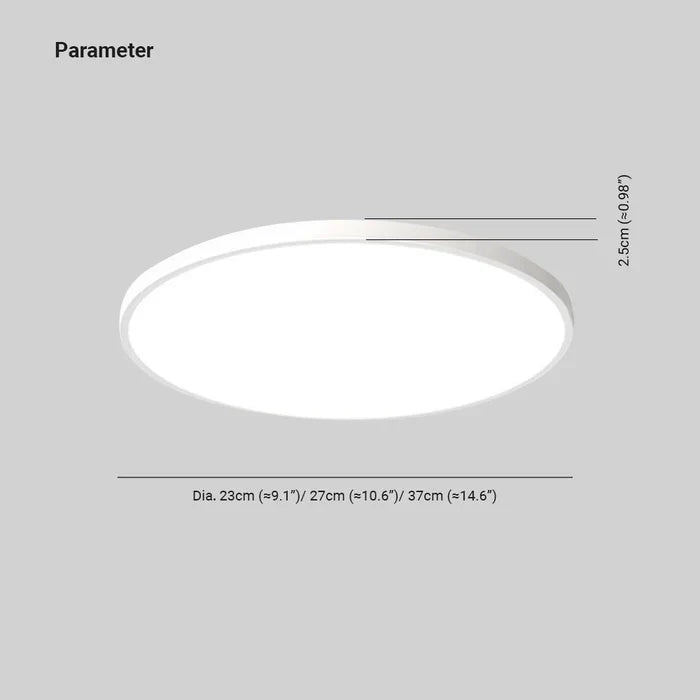 Stylish LED Ceiling Light – Modern Home Decor, Ambient Lighting